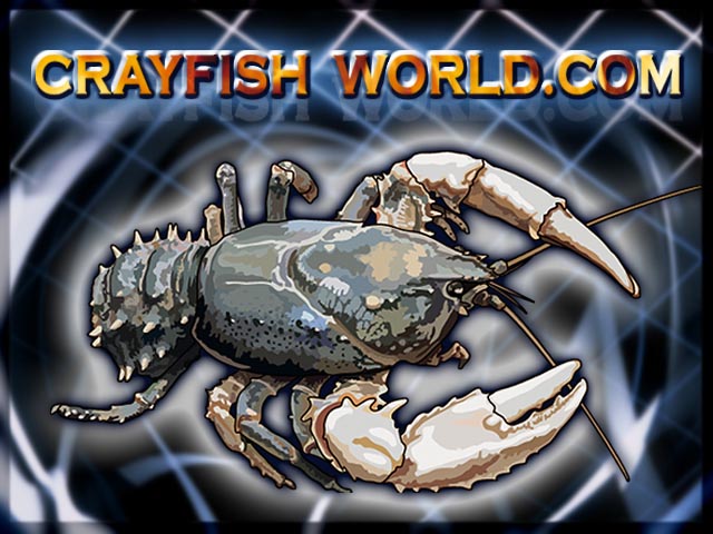 crayfishworld04.jpg